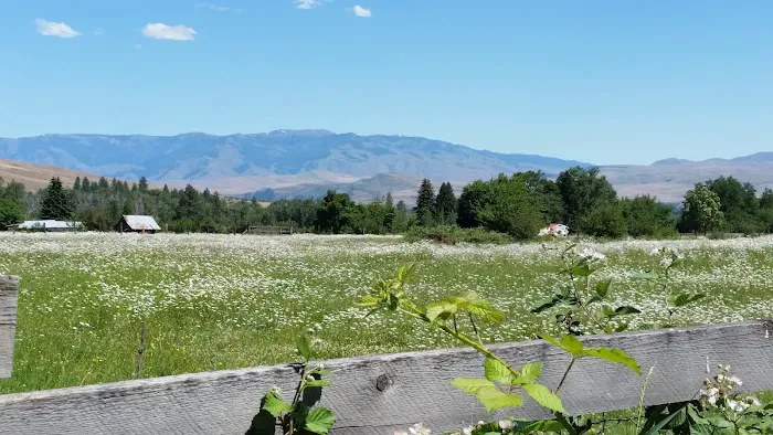 Pine Valley Extreme Picture 10