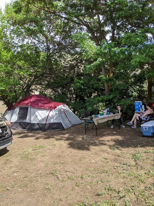 Moonshine Mine Picture 6