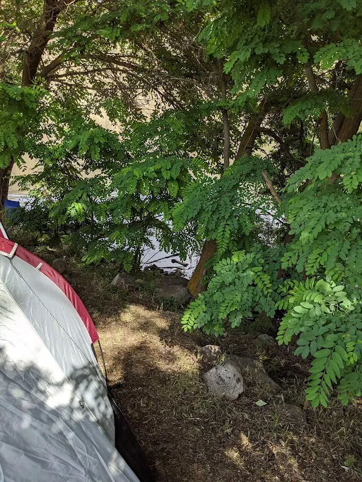 Moonshine Mine Picture 8