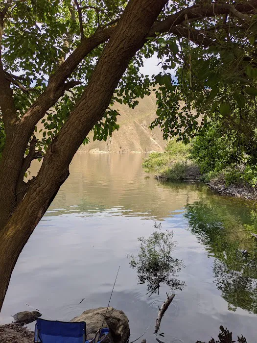 Moonshine Mine Picture 7