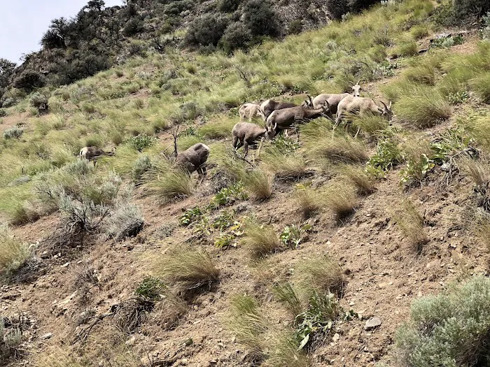 Swedes Landing Picture 7