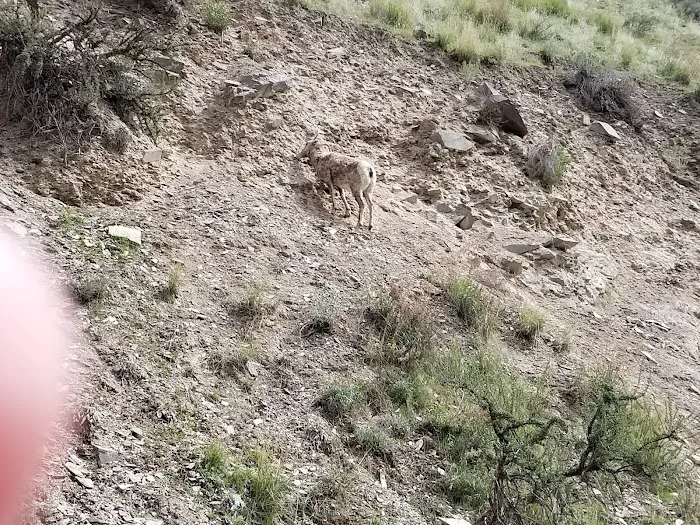 Swedes Landing Picture 8