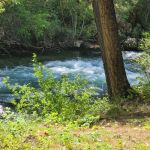 Eagle Forks Campground