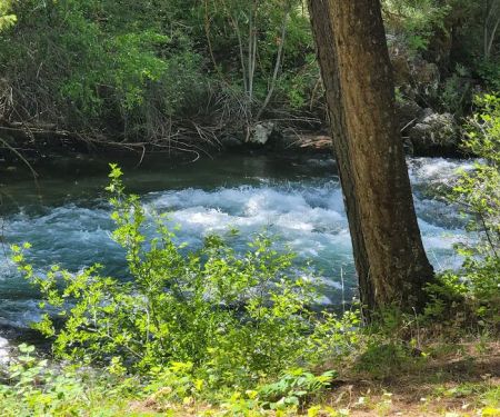 Eagle Forks Campground