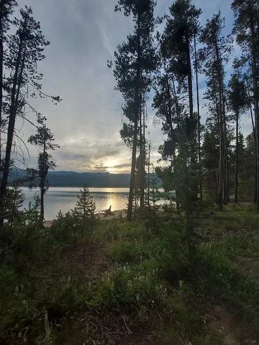 Barney's Campground Picture 2