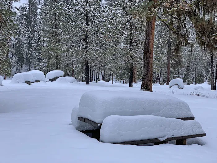 Bonneville Campground Picture 10