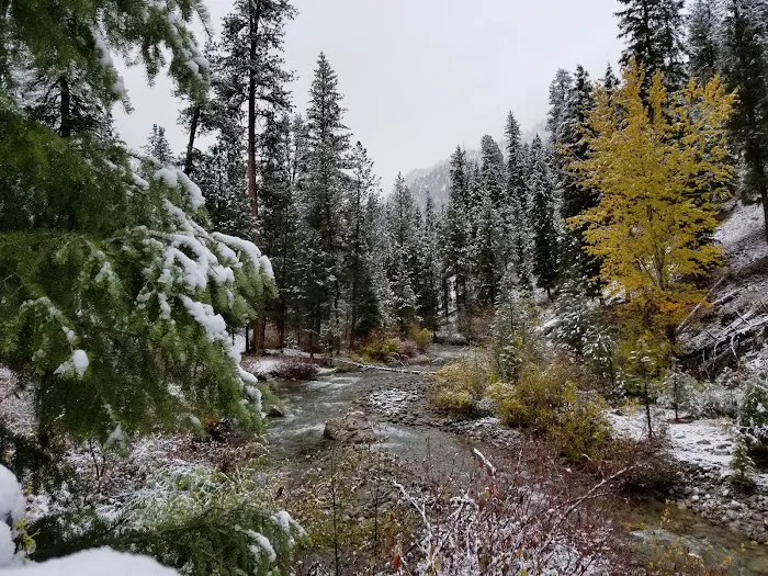 Bonneville Campground Picture 5