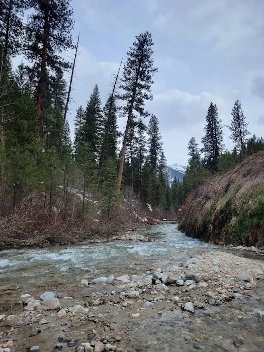 Bonneville Campground Picture 6