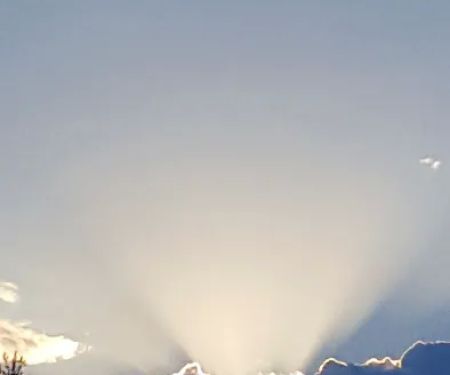 Pennington Mobile Home Park