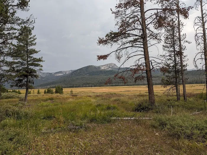 Elk Creek Campground (Sawtooth NF) Picture 5