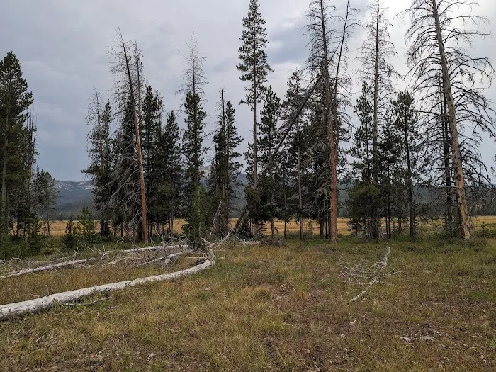 Elk Creek Campground (Sawtooth NF) Picture 8