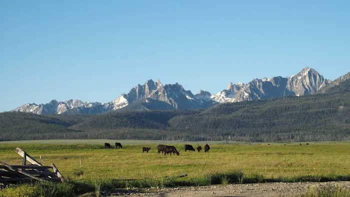 Stanley Lake Campground Picture 8