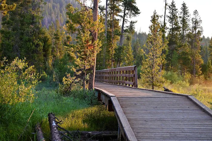 Stanley Lake Campground Picture 3