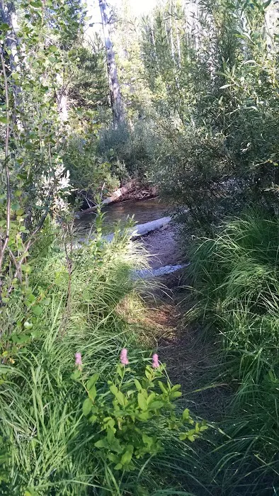 Iron Creek Campground Picture 6