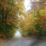 Tannehill Pointe Mobile Home Park