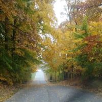 Tannehill Pointe Mobile Home Park ico