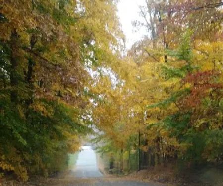 Tannehill Pointe Mobile Home Park