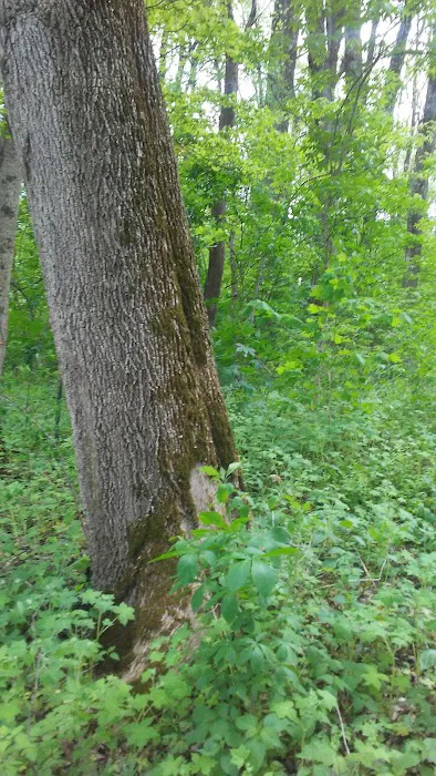Tannehill Pointe Mobile Home Park Picture 3