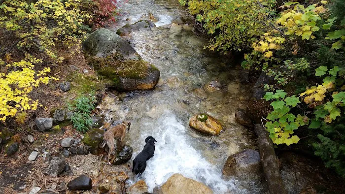 Grandjean Campground Picture 8