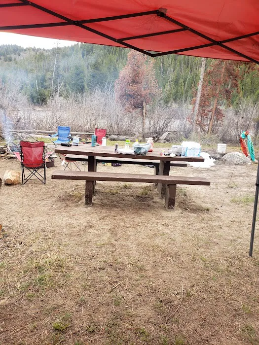 Salmon River Campground Picture 9