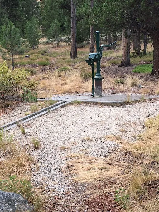 Riverside Campground Picture 2