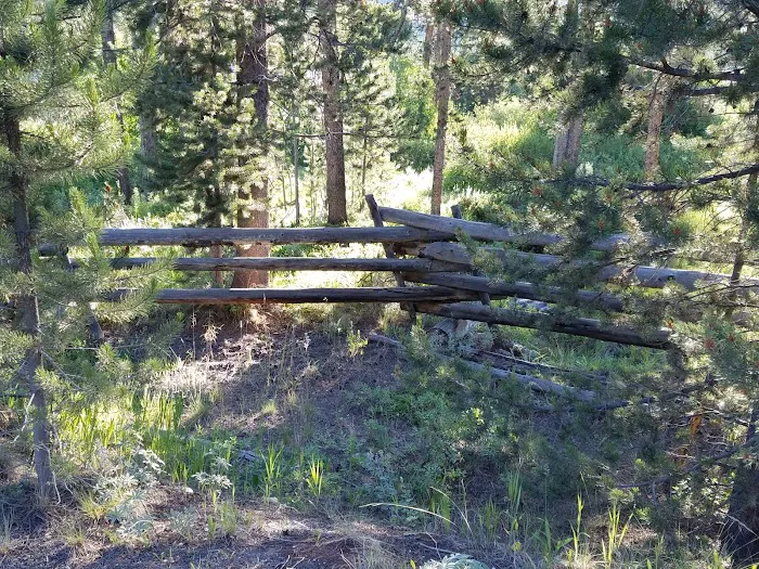 Casino Creek Campground Picture 5