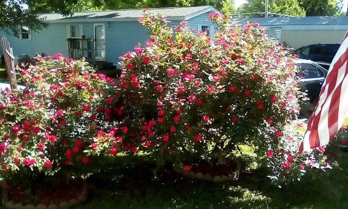 Homestead Mobile Home Park Picture 7