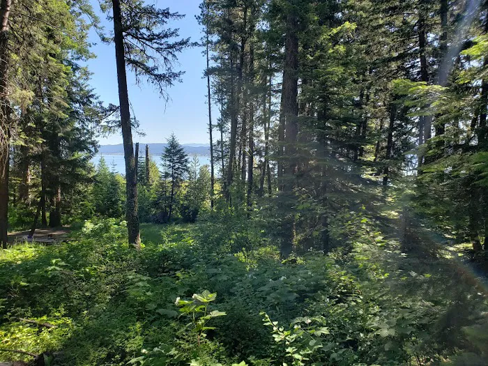 French Creek Campground Picture 1