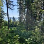 French Creek Campground