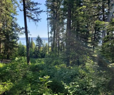 French Creek Campground