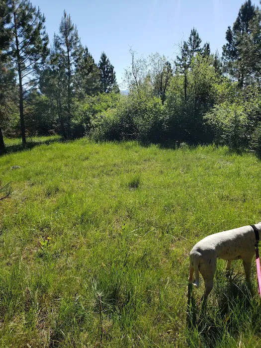 French Creek Campground Picture 10