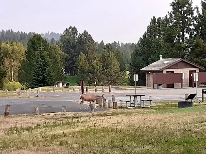 Blue Heron Campground Picture 1