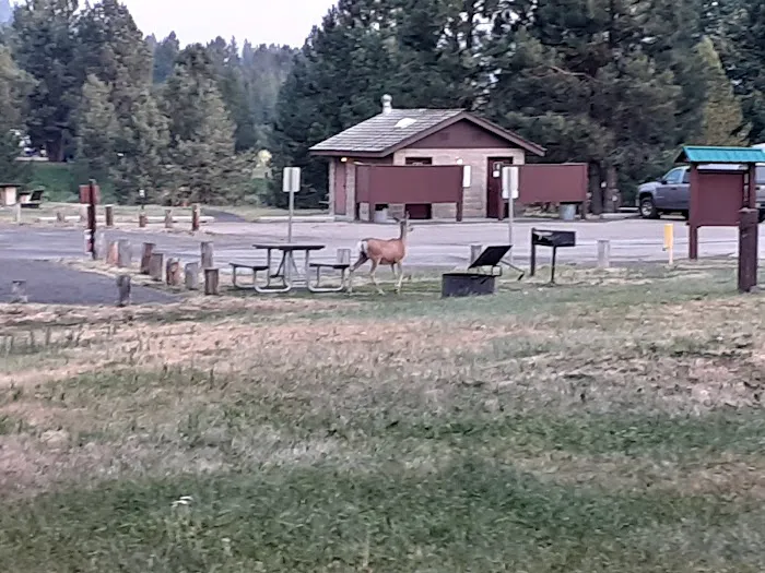 Blue Heron Campground Picture 10