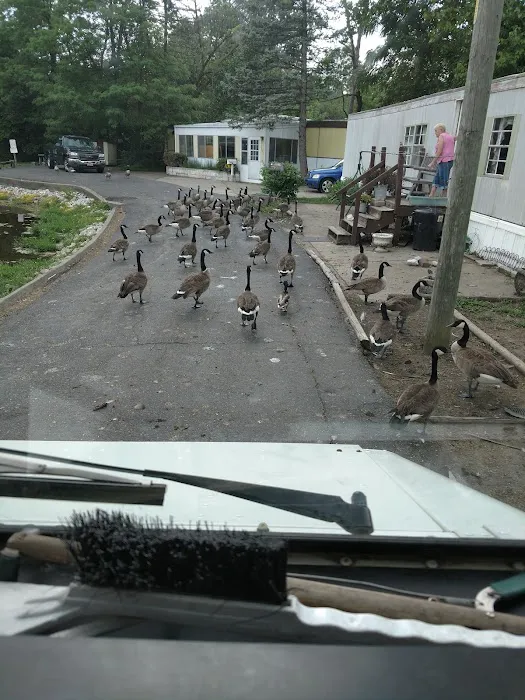 Longacre Mobile Home Park Picture 4