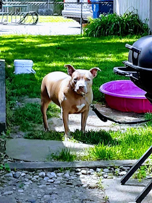 Madison Mobile Home Community Picture 8