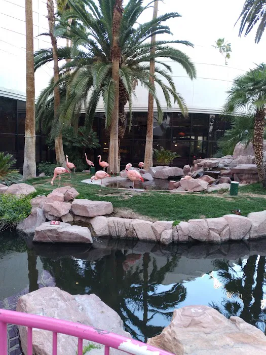 Madison Mobile Home Community Picture 7