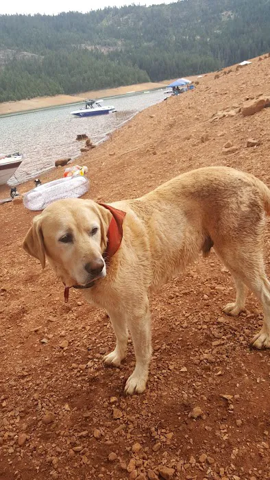 Hayward Flat Campground Picture 6