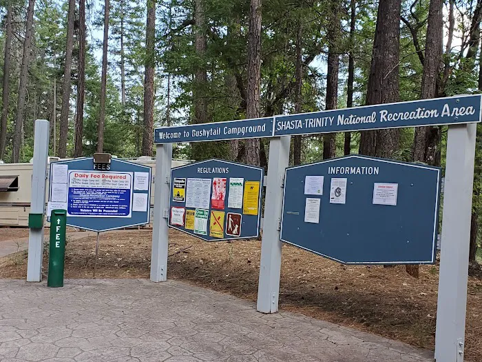 Bushytail Campground Picture 6
