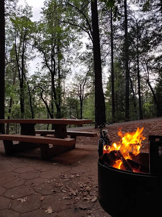Bushytail Campground Picture 1