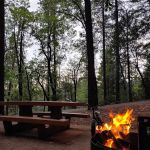 Bushytail Campground