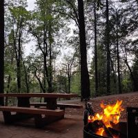Bushytail Campground ico
