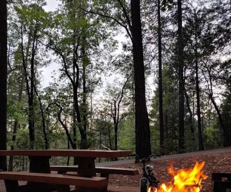 Bushytail Campground
