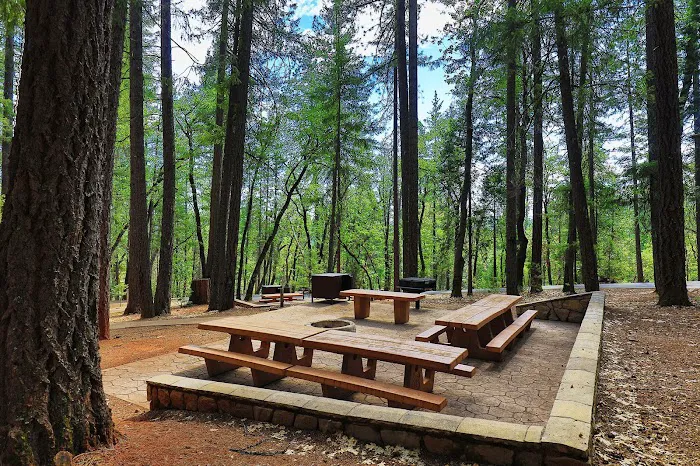 Bushytail Campground Picture 9