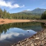 Pinewood Cove Resort