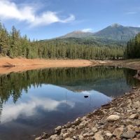 Pinewood Cove Resort ico