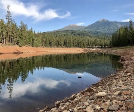 Pinewood Cove Resort