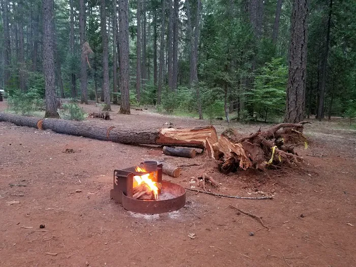 Tannery Gulch Campground Picture 6