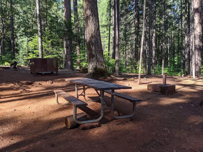 Tannery Gulch Campground Picture 3