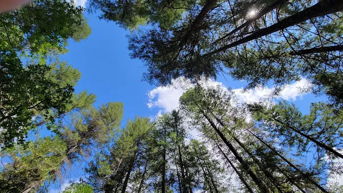 Fawn Loop B Group Campground Picture 9