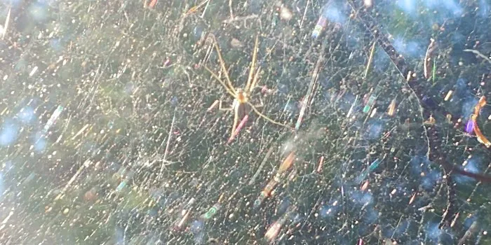 Tannery Gulch Cg-f Picture 9